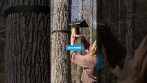Video post by @lowes on YouTube