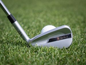 Image post by @pingtour on Instagram