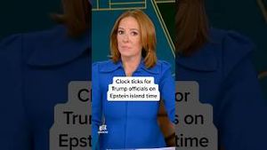 Video post by @msnbc on YouTube