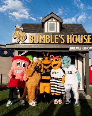 Image post by @saltlakebees on Instagram