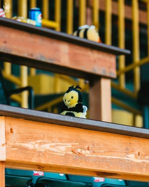 Image post by @honeybeessoftball on Instagram