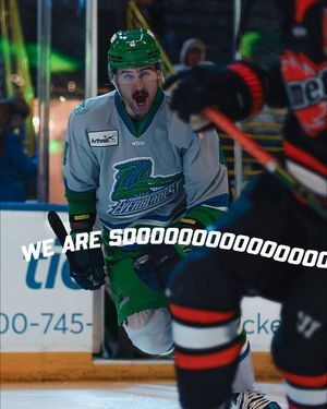 Image post by @fl_everblades on Instagram