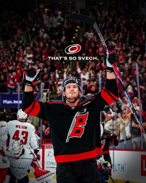 Image post by @canes on Instagram