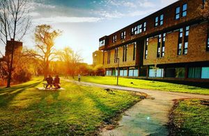 Image post by @universityatbuffalo on Instagram