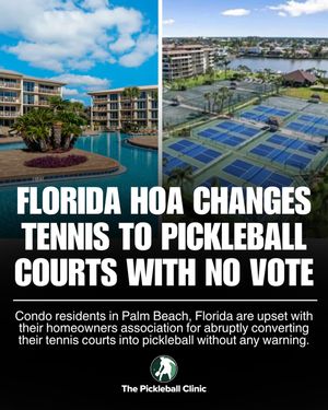Image post by @thepickleballclinic on Instagram