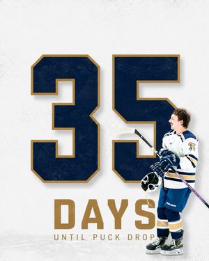 Image post by @gsuhockey on Instagram