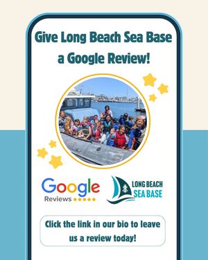 Image post by @longbeachseabase on Instagram