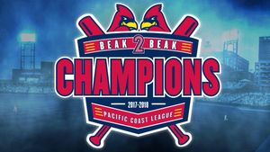 Image post by @memphisredbirds on Twitter