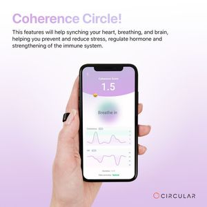 Image post by @circularing on Instagram