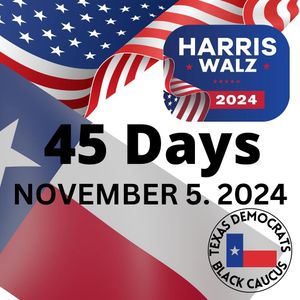 Image post by @txblackdems on Instagram