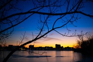 Image post by @universityatbuffalo on Instagram