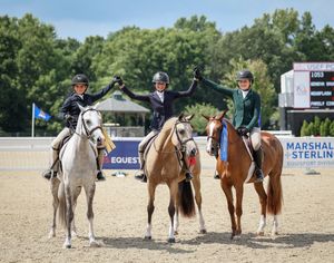 Image post by @usequestrian on Instagram