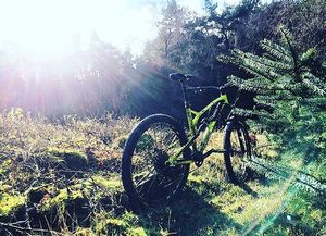 Image post by @nukeproofbikes on Instagram