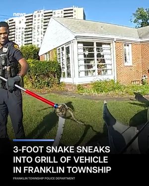 Image post by @news12nj on Instagram