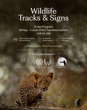 Image post by @hiltonyalaresort on Instagram