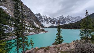 Image post by @CMcalgary on Facebook