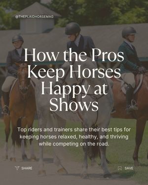 Image post by @theplaidhorsemag on Instagram