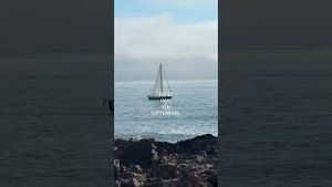 Video post by @bostonwithemily on YouTube