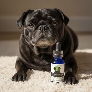 Image post by @drhempdog on Instagram