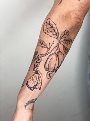 Image post by @tamarafalcomer on Instagram