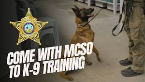 Video post by @mecksheriff on YouTube