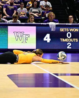 Image post by @lsuvolleyball on Instagram
