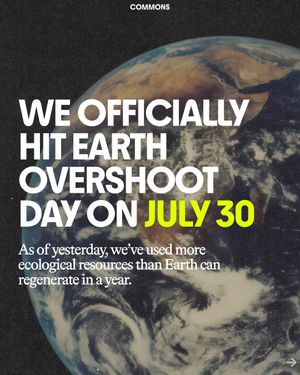 Image post by @commonsearth on Instagram