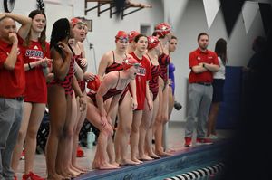 Image post by @spiderswimdive on Instagram