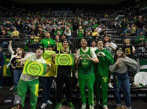 Image post by @ducksofafeather on Instagram