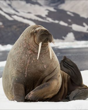 Image post by @oceana on Instagram