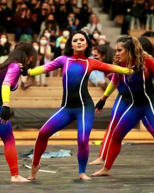 Image post by @wgisportofthearts on Instagram