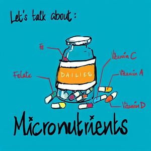 Image post by @circuitsehat on Instagram