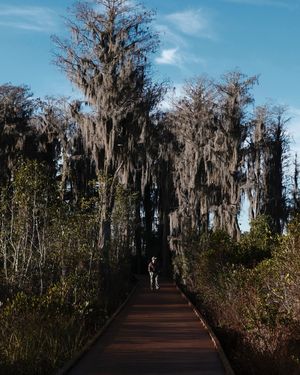 Image post by @fujifilmx_ca on Instagram