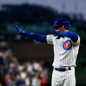 Image post by @cachorros on Instagram