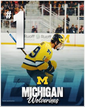 Image post by @everythingcollegehockey on Instagram