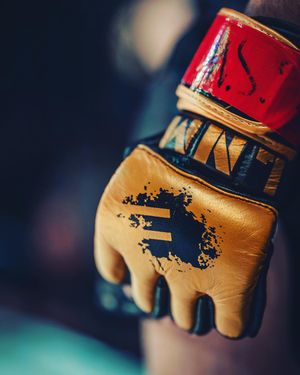 Image post by @epicfighting on Instagram