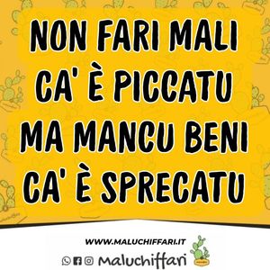 Image post by @maluchiffari on Instagram