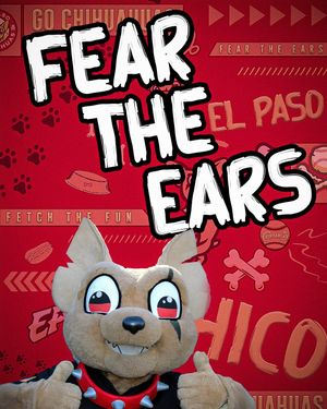 Image post by @chico_epchihuahuas on Instagram