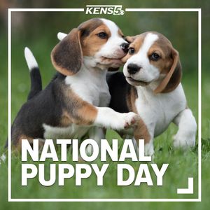 Image post by @kens5 on Instagram