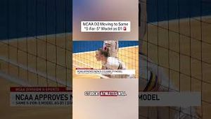 Video post by @randysilvertv on YouTube