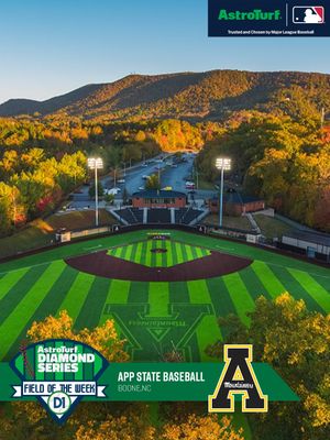 Image post by @d1baseball on Instagram