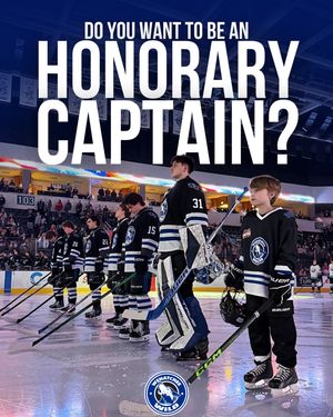 Image post by @whlwild_ on Instagram