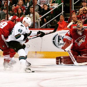 Image post by @sanjosesharks on Instagram