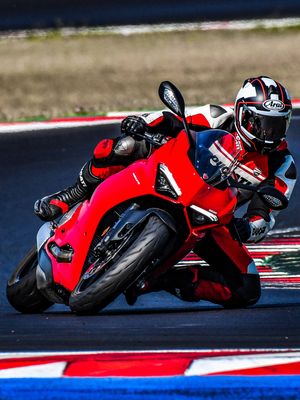 Image post by @panigalers on Instagram