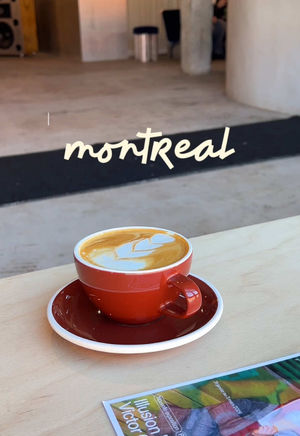 Video post by @morgan.exploring on TikTok