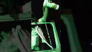 Video post by @fraisworld on YouTube