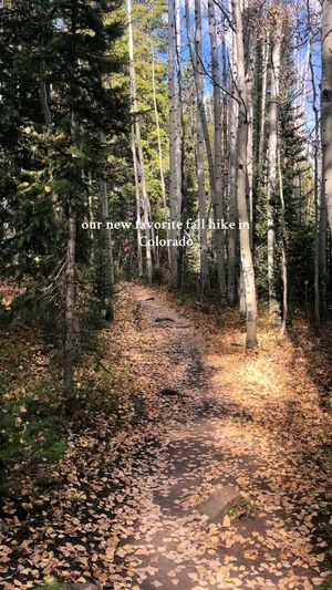 Video post by @filmbychloeg on TikTok