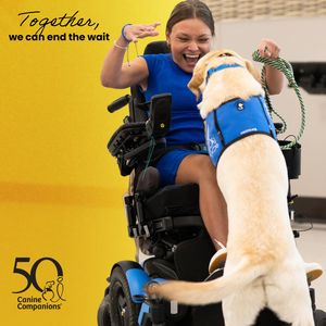 Image post by @canineorg on Instagram