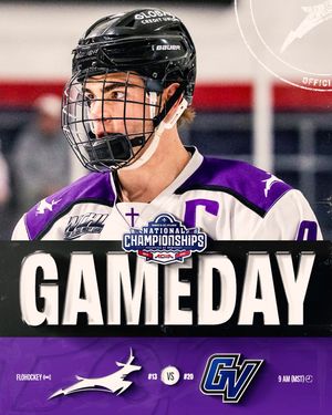 Image post by @lopeshockey on Instagram