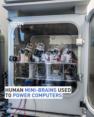 Image post by @cgtneurope on Instagram